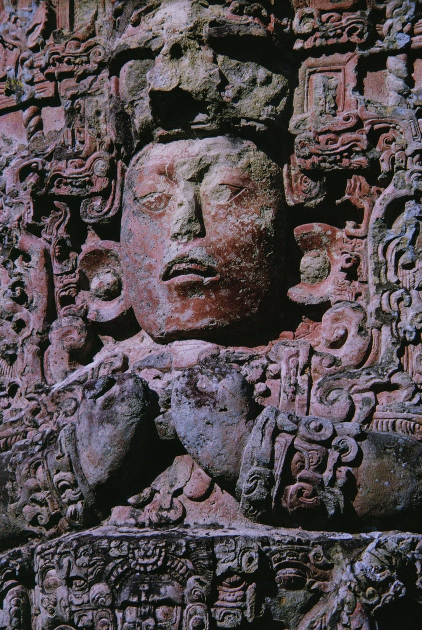 Stele in Grand Plaza (kivi) (231827:n yksityiskohta) tekijältä Mayan Mayan