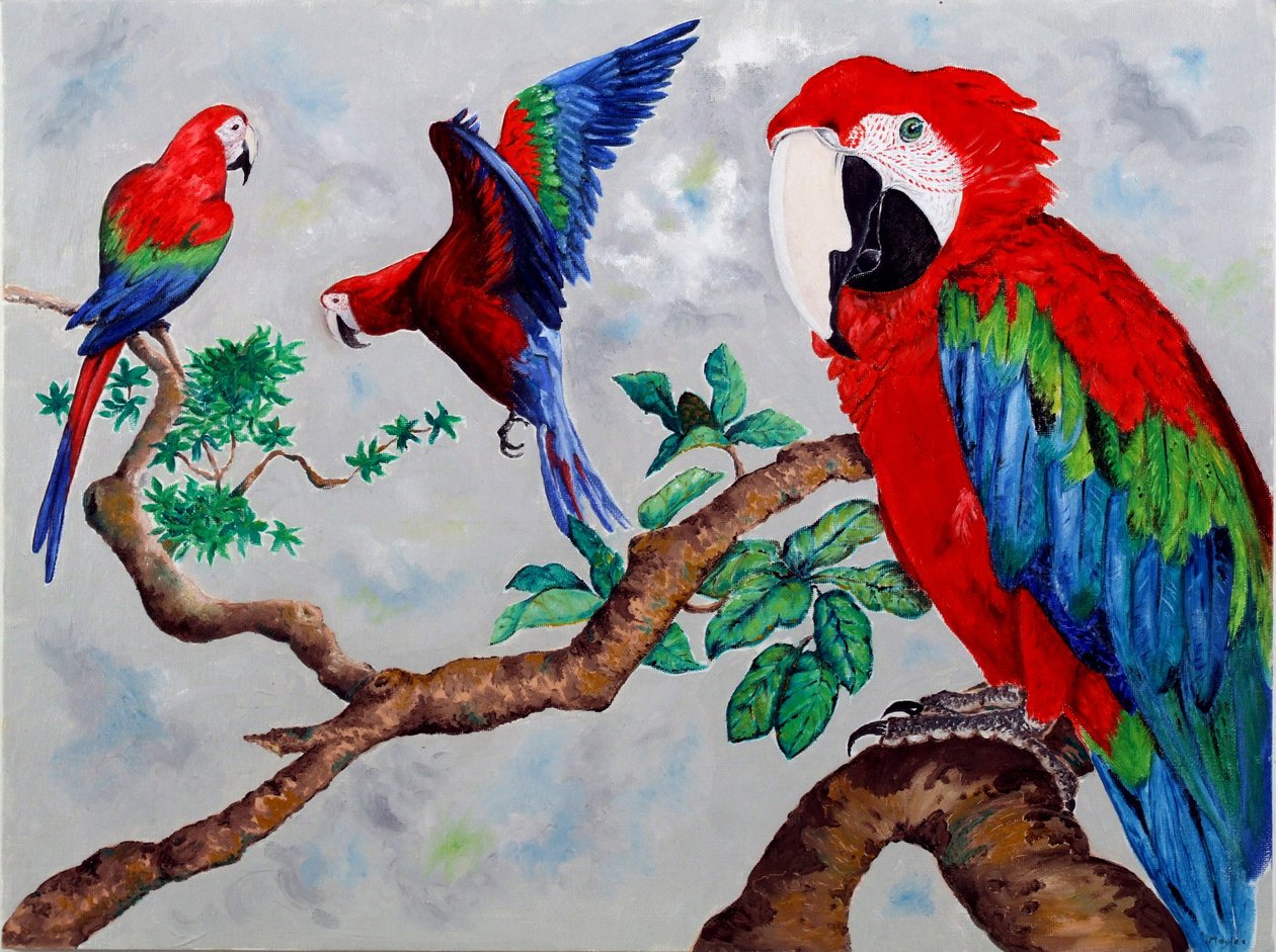 Macaws, 2006 tekijältä Maylee Christie
