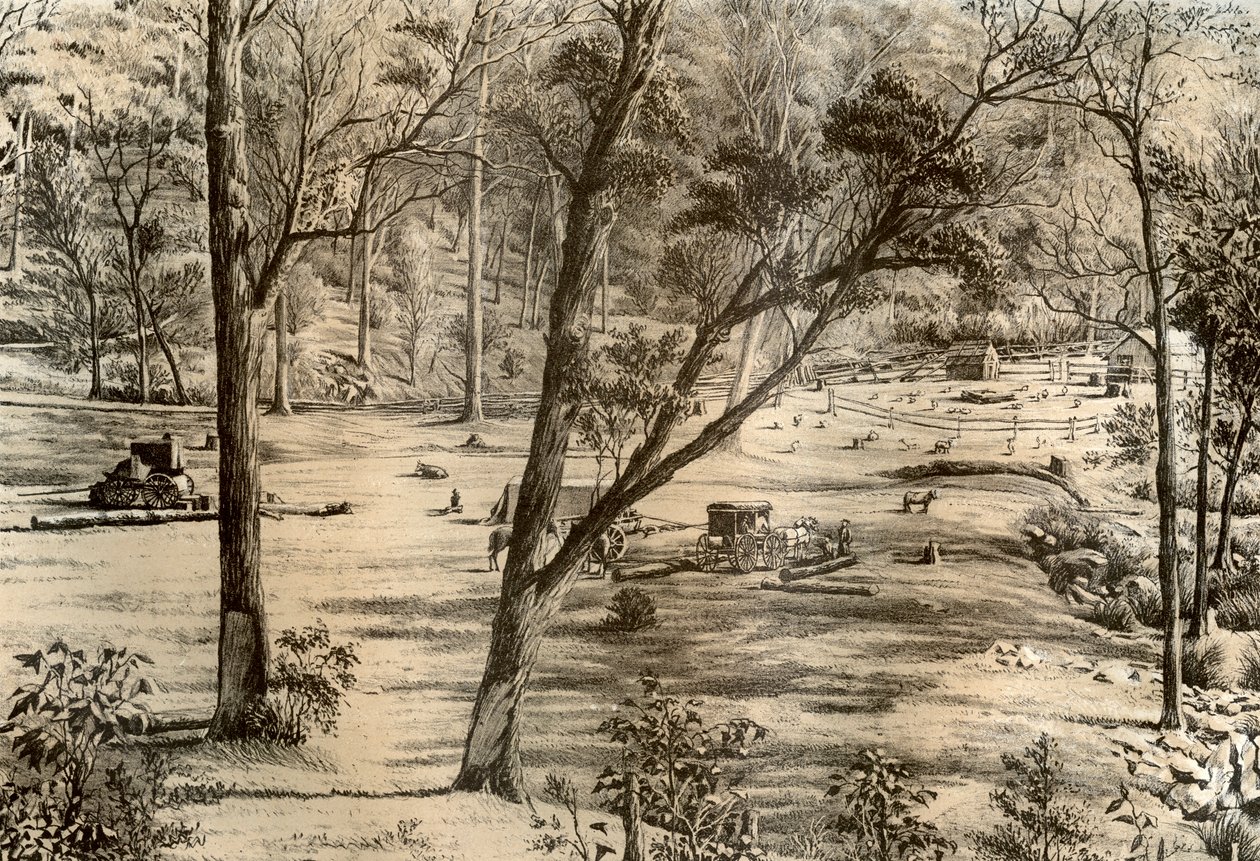 Vapaa valintakota, Australia, 1879 tekijältä McFarlane and Erskine