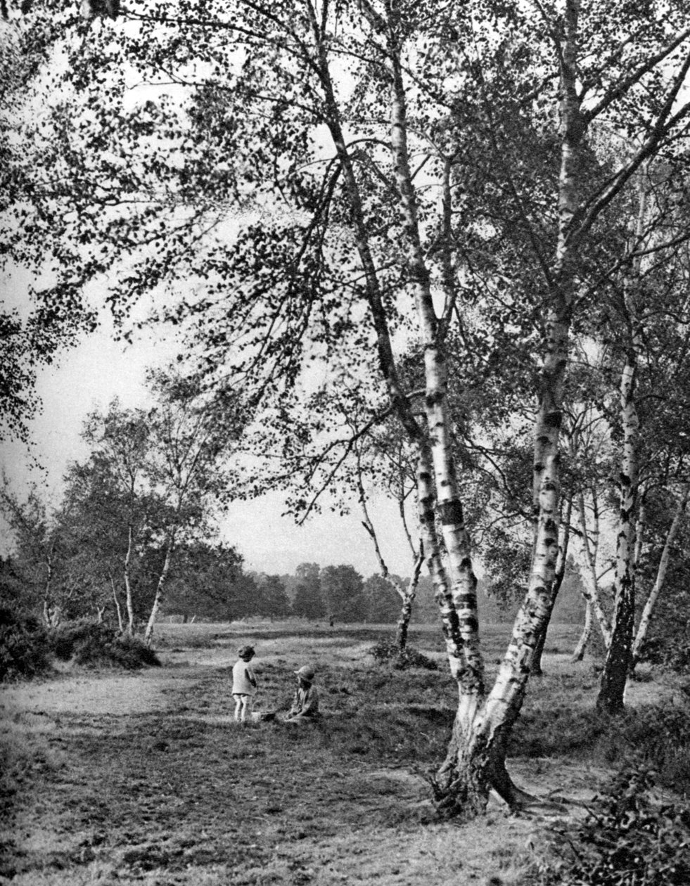 Putney Heath, Lontoo, 1926-1927 tekijältä McLeish