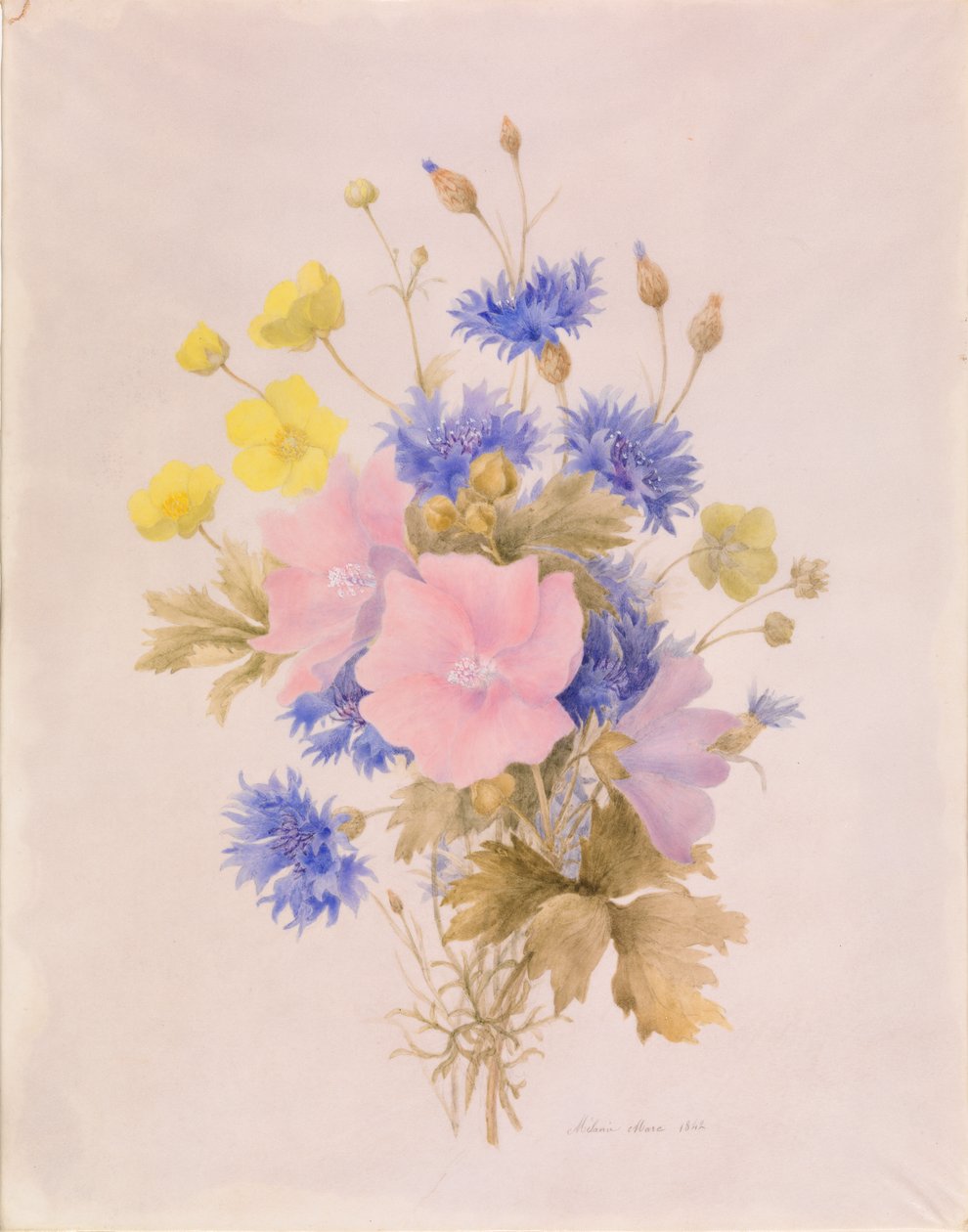 Flors de camp finlandeses tekijältä Melanie Marc