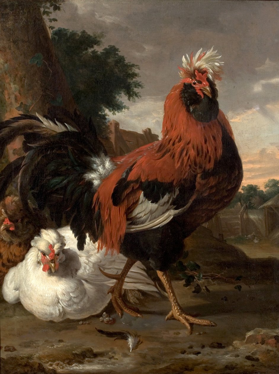 Kanat tekijältä Melchior de Hondecoeter
