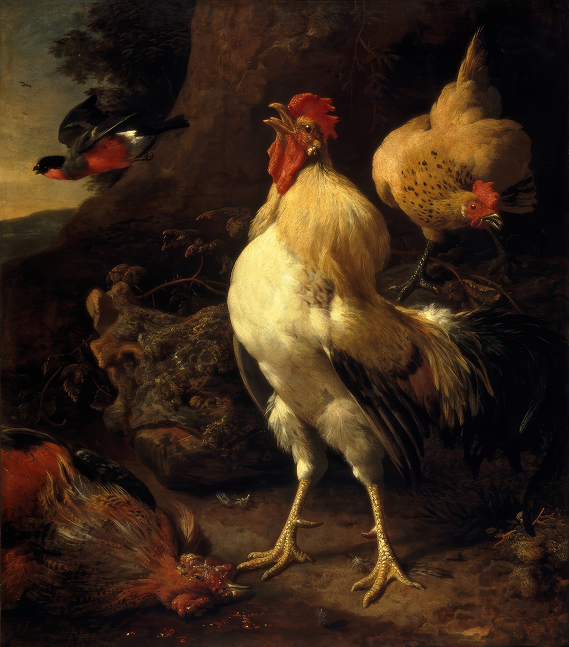 M. de Hondecoeter, Siegreicher Hahn tekijältä Melchior de Hondecoeter