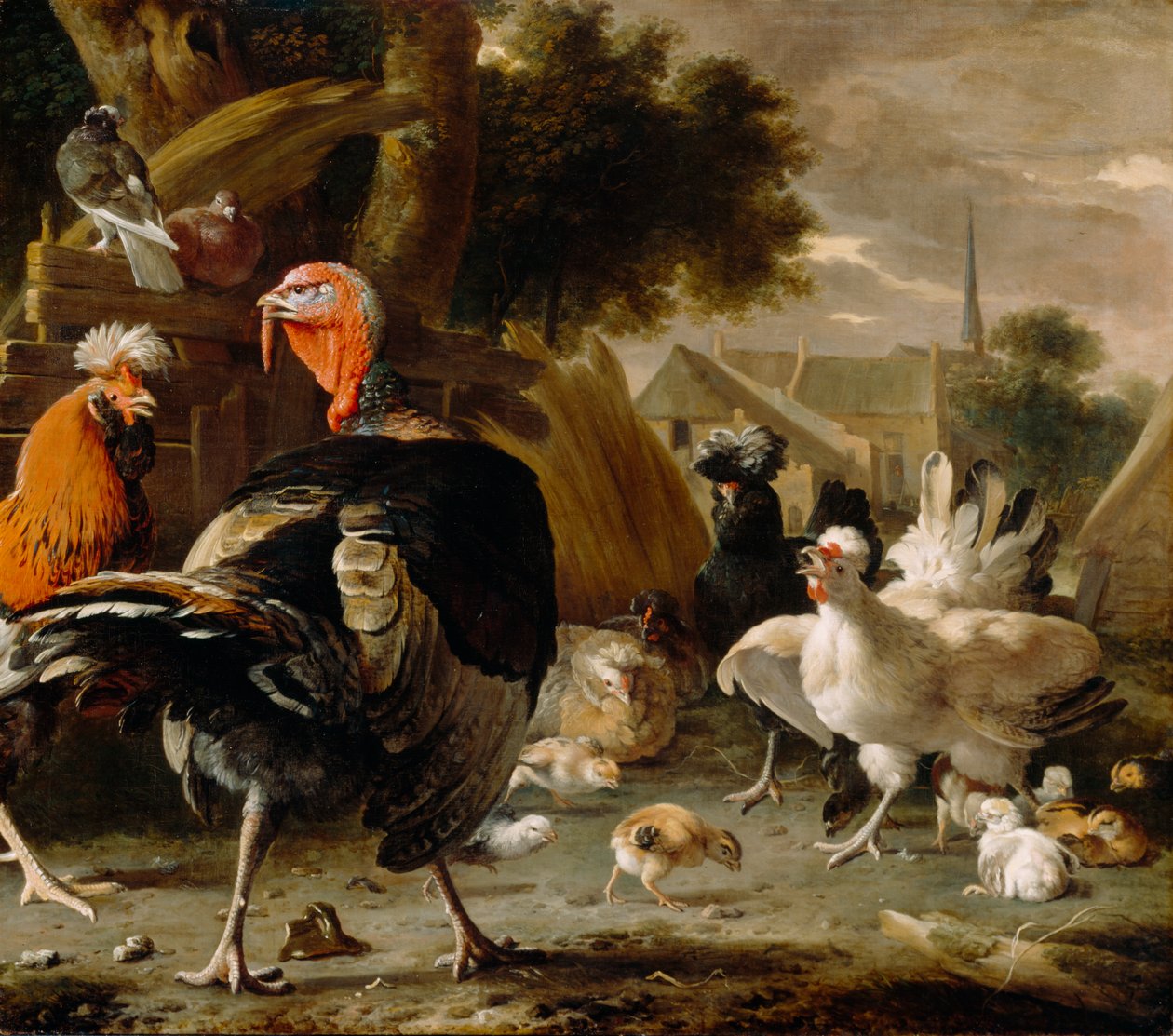Siipikarjapiha, n. 1668 tekijältä Melchior de Hondecoeter
