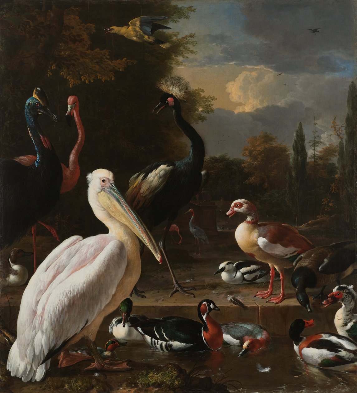 Een pelikaan en ander gevogelte bij een waterbassin, bekend als 