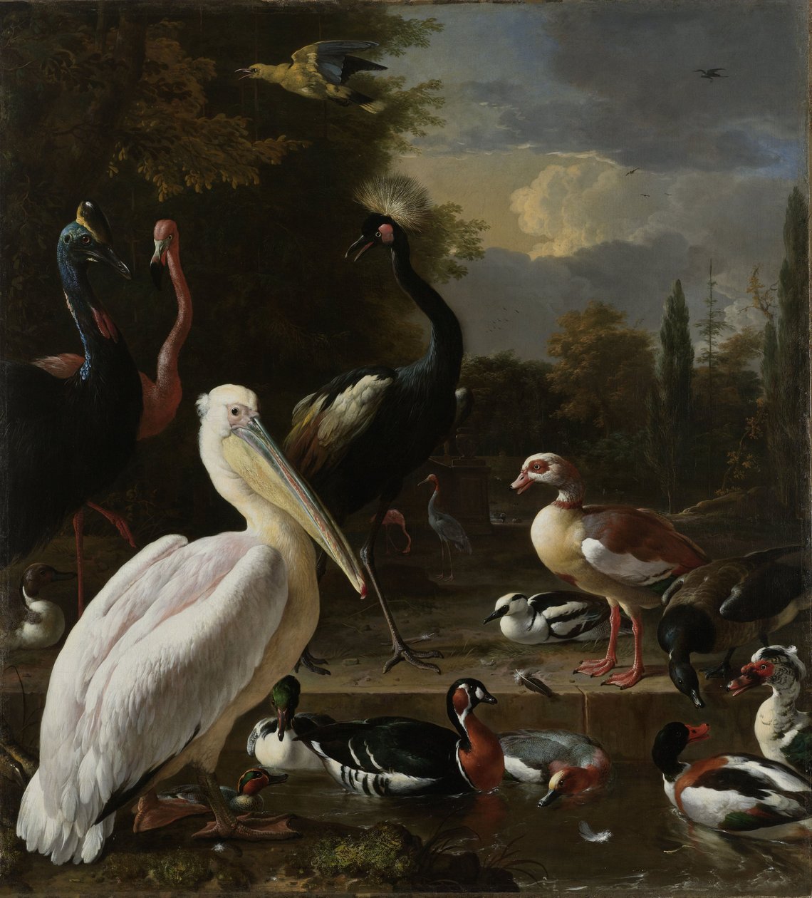 Pelikaani ja muut linnut lähellä uima-allasta, joka tunnetaan nimellä "Floating Feather", n. 1680 tekijältä Melchior de Hondecoeter