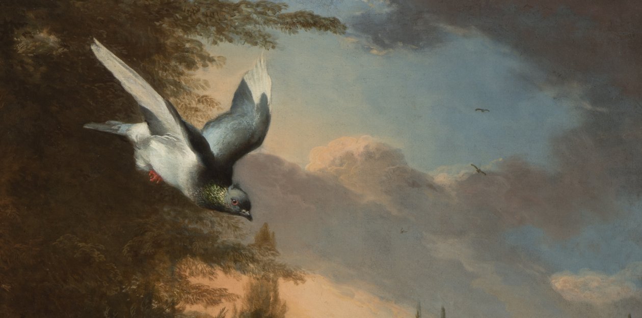 Yksityiskohta Menagerie, n. 1680 (öljy kankaalle) tekijältä Melchior de Hondecoeter