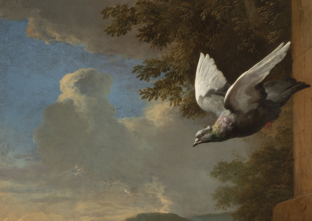 Yksityiskohta Menagerie, n. 1680 (öljy kankaalle) tekijältä Melchior de Hondecoeter