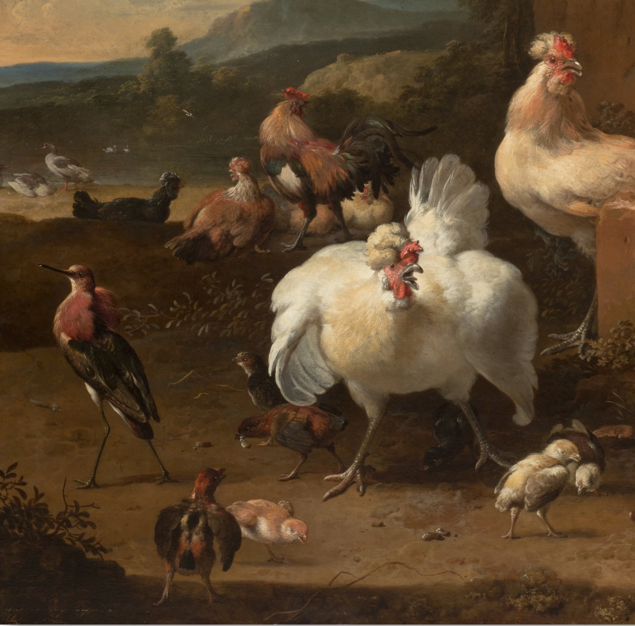 Yksityiskohta Menagerie, n. 1680 tekijältä Melchior de Hondecoeter