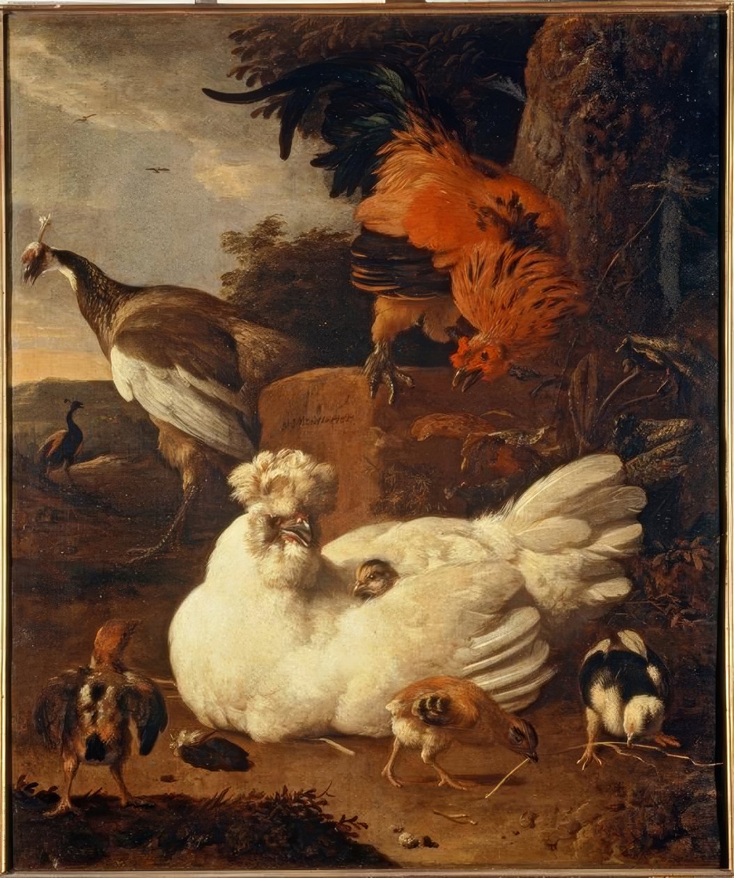 M. de Hondecoeter, Glucke mit Küken tekijältä Melchior de Hondecoeter