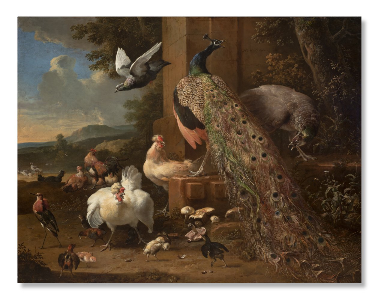 Menagerie, noin 1680 tekijältä Melchior de Hondecoeter