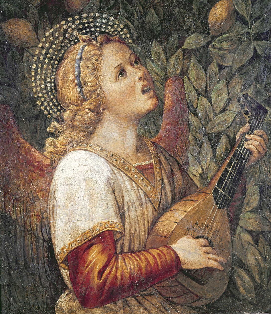 Enkeli muusikko tekijältä Melozzo da Forli