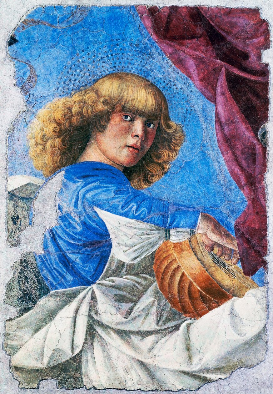 Enkeli soittaa luuttua, 1480, Fresko Melozzo da Forli (1438-1494), Irrotettu fresko Ascension of Christ -freskolta, Italia tekijältä Melozzo da Forli