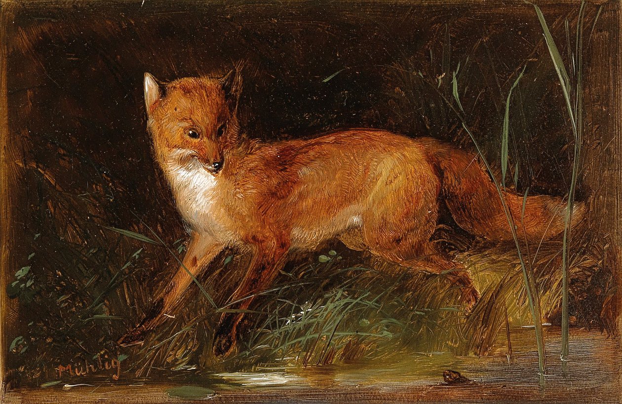 Meno Mühlig Fuchs tekijältä Meno Muhlig