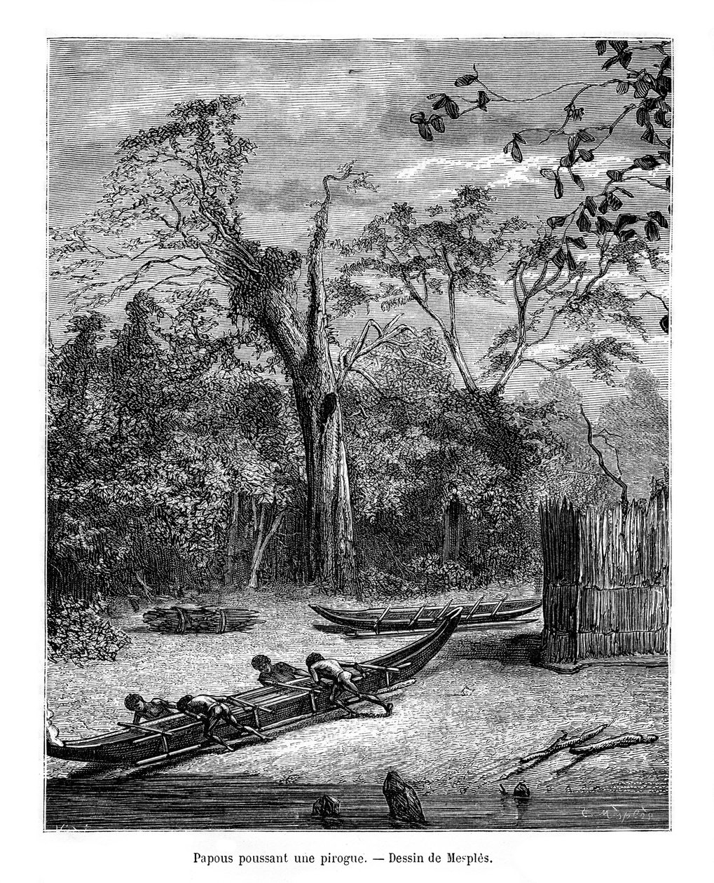 Kalastuskorsu, Papua, 1800-luku tekijältä Mesples