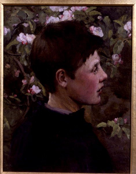 Pojan pää (öljy kankaalle) tekijältä Mia Arnesby (attributed to) Brown