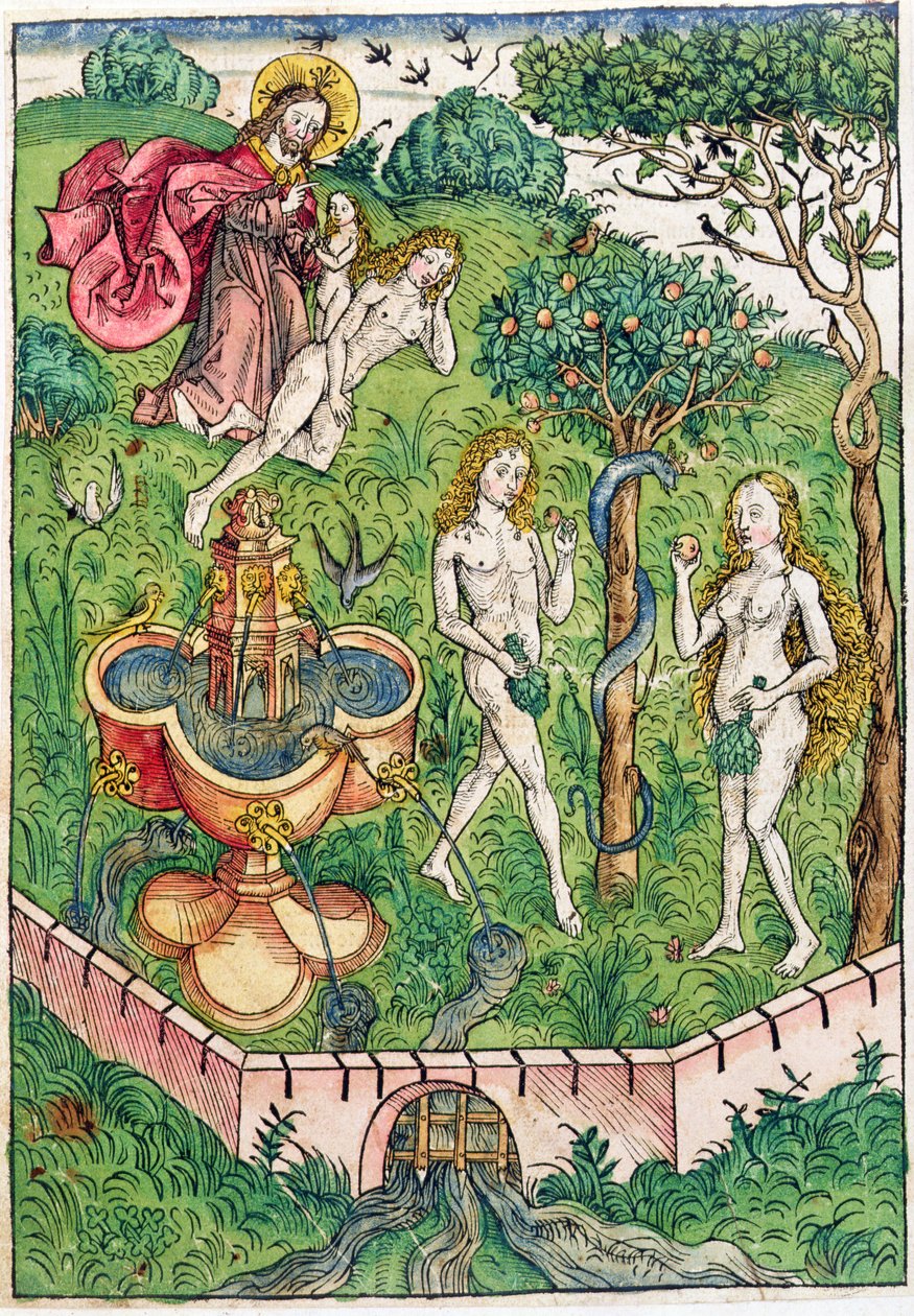 Aadamin ja Eevan luominen ja kiusaus, Kobergerin teoksesta "Aarre eli todellisen pelastuksen rikkaus ikuisesta autuaasta", julkaistu Nürnbergissä, 1491 (värillinen puupiirros) tekijältä Michael Wolgemut