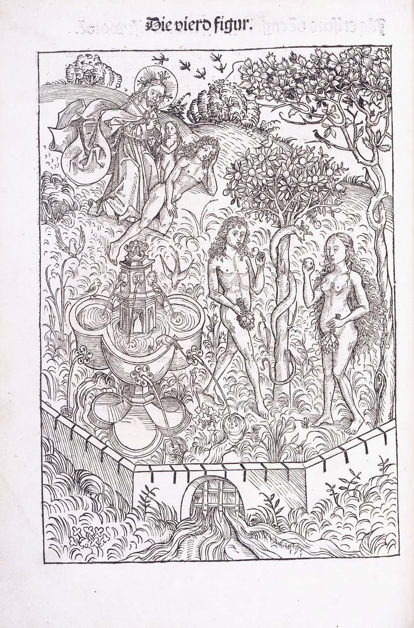 Aadam ja Eeva Eedenin puutarhassa, 1491 tekijältä Michael Wolgemuth