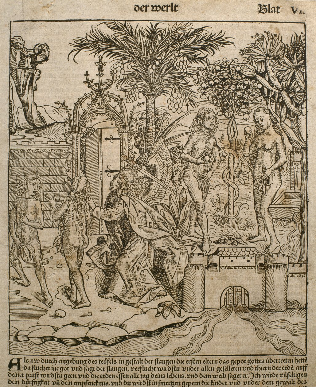 Aatami ja Eeva, kuvitus Hartmann Schedelin (1440-1514) Liber Chronicarum -teoksesta, joka julkaistiin Nürnbergissä vuonna 1493. tekijältä Michael and Pleydenwurff, W. Wolgemuth