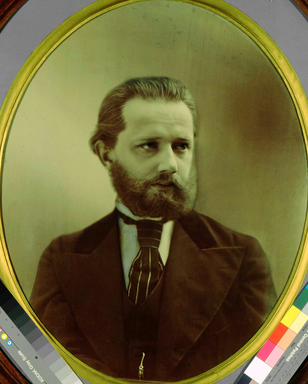 Muotokuva säveltäjä Piotr Tšaikovskista (Pjotr Petr Ilitš Tšaikovski) (Tšaikovski) (1840-1893). Michail Michailoich Panovin (1836-1894) valokuvatyyppi. Osavaltio P.I. Tšaikovskin muistomuseo, Klin tekijältä Michail Michailovich Panov