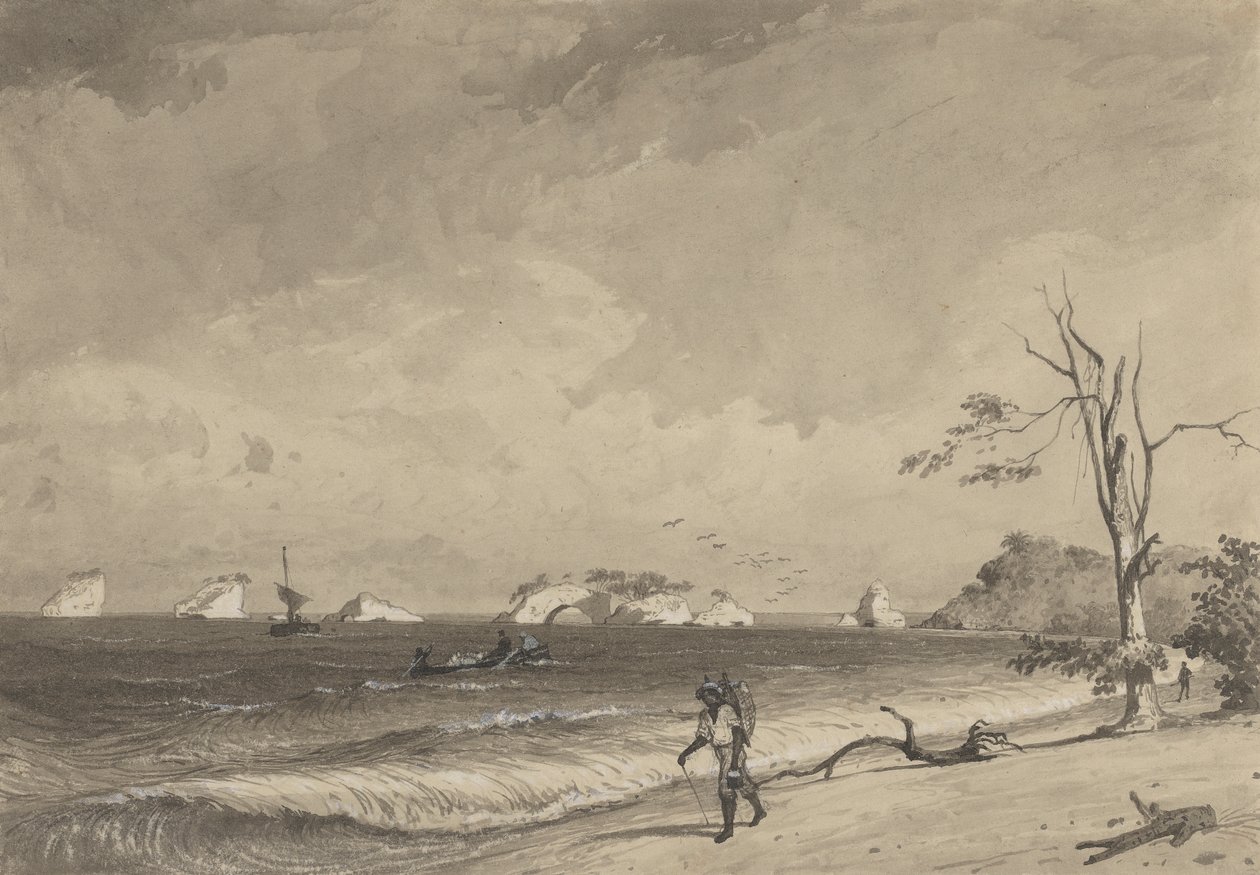 Los Gallos, Icacos Bay tekijältä Michel Jean Cazabon