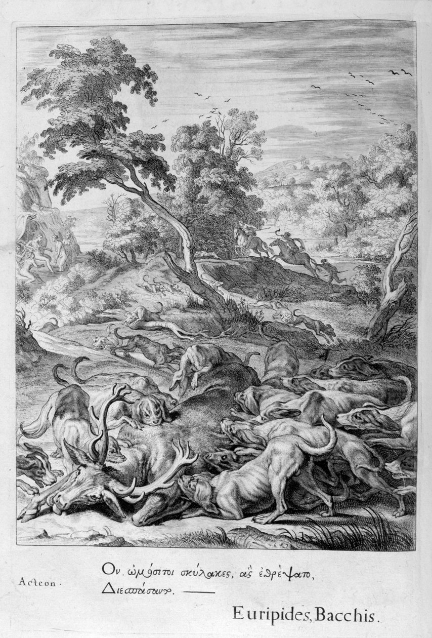 Actaeon muuttui polttareksi ja koirat söivät sen vuonna 1655 tekijältä Michel de Marolles