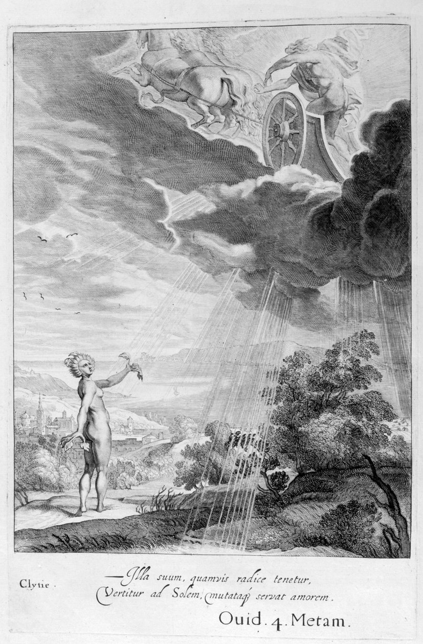 Clytie muuttui auringonkukaksi, 1655 tekijältä Michel de Marolles