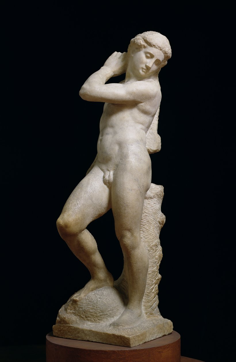 Apollo tai David, n. 1530 (marmori) (katso myös 79843 ja 230332) tekijältä Michelangelo Buonarroti