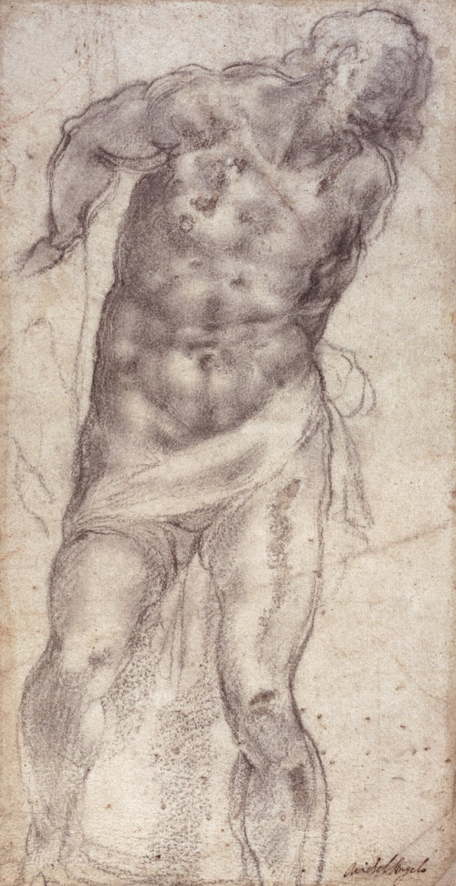 Kuvatutkimus tekijältä Michelangelo Buonarroti