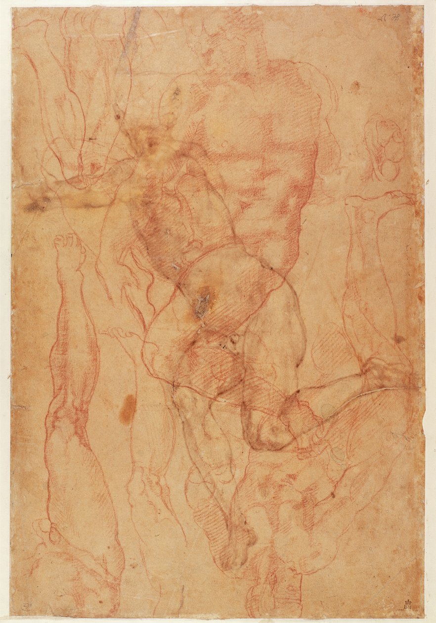 Figuuritutkimus (punainen liitu paperille) tekijältä Michelangelo Buonarroti