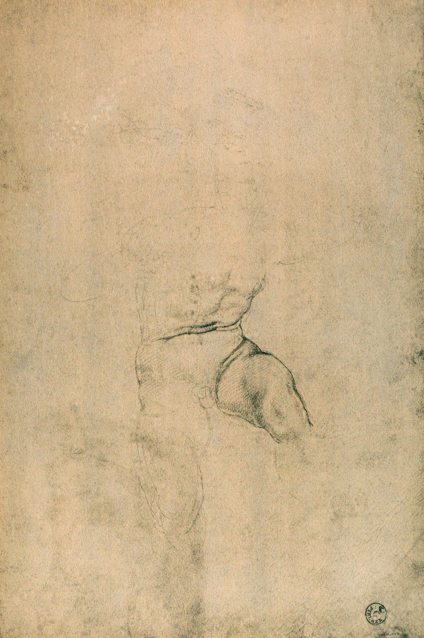 Mies alaston, Michelangelon tutkimus. Piirustus- ja grafiikkakaappi, Uffizi-galleria, Firenze tekijältä Michelangelo Buonarroti