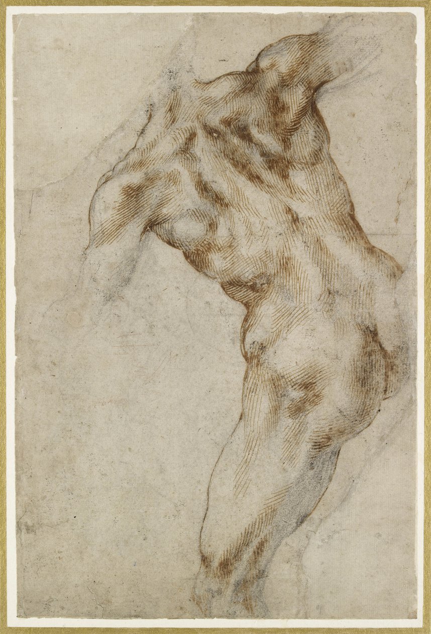 Alaston uros Torso tekijältä Michelangelo Buonarroti