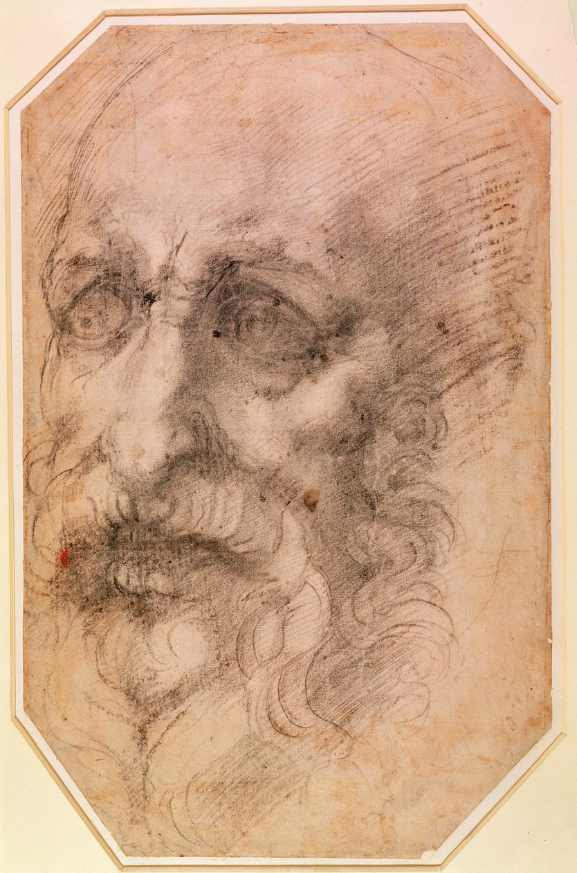 Parrakkaan miehen muotokuva (musta liitu paperille) (recto) (vero katso 191768) tekijältä Michelangelo Buonarroti