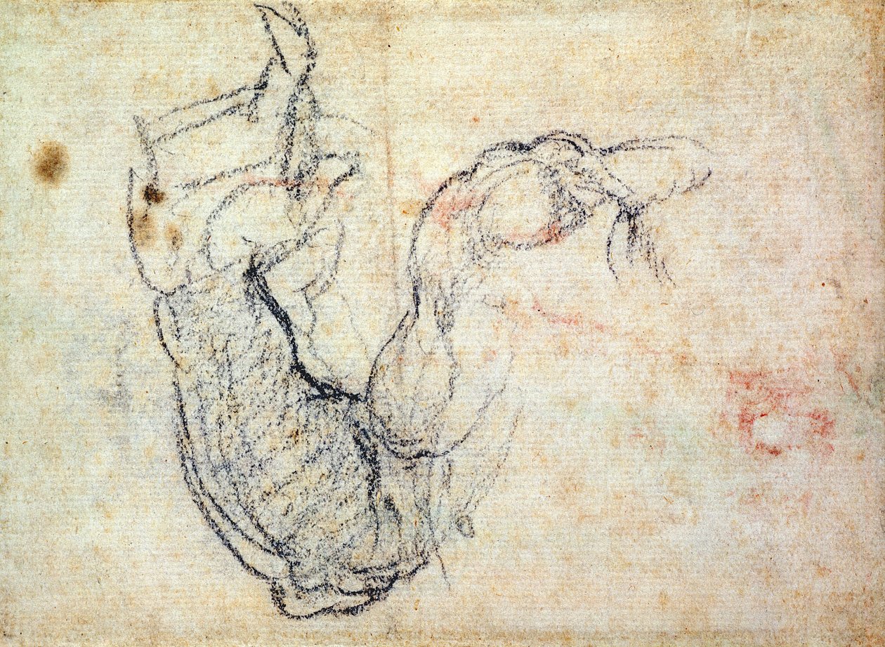 Valmisteleva tutkimus Kristuksen käsivarresta viimeisessä tuomiossa, 1535-41 (musta liitu paperille) (recto) tekijältä Michelangelo Buonarroti
