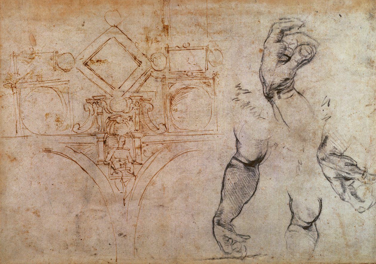 Kaavio Sikstuksen kappelin katolle, n. 1508 (kynä, mustetta ja liitu paperille) tekijältä Michelangelo Buonarroti