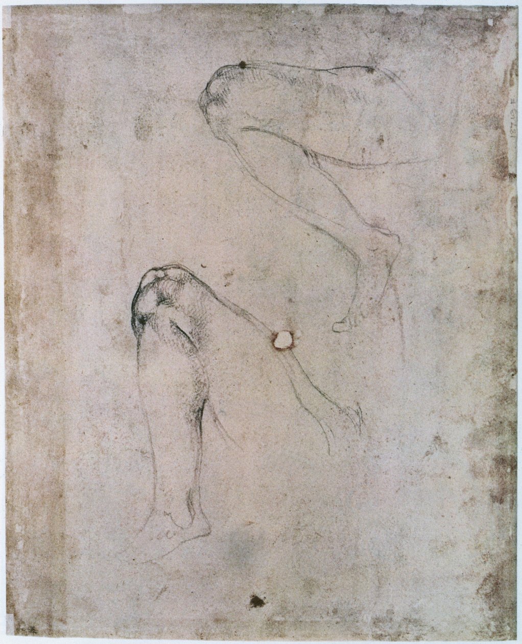 Sikstuksen kappelin katto (1508-12): Kaksi luonnosta Eevan oikeasta jalasta Alkuperäissyntikohtauksesta (hiili paperilla) tekijältä Michelangelo Buonarroti