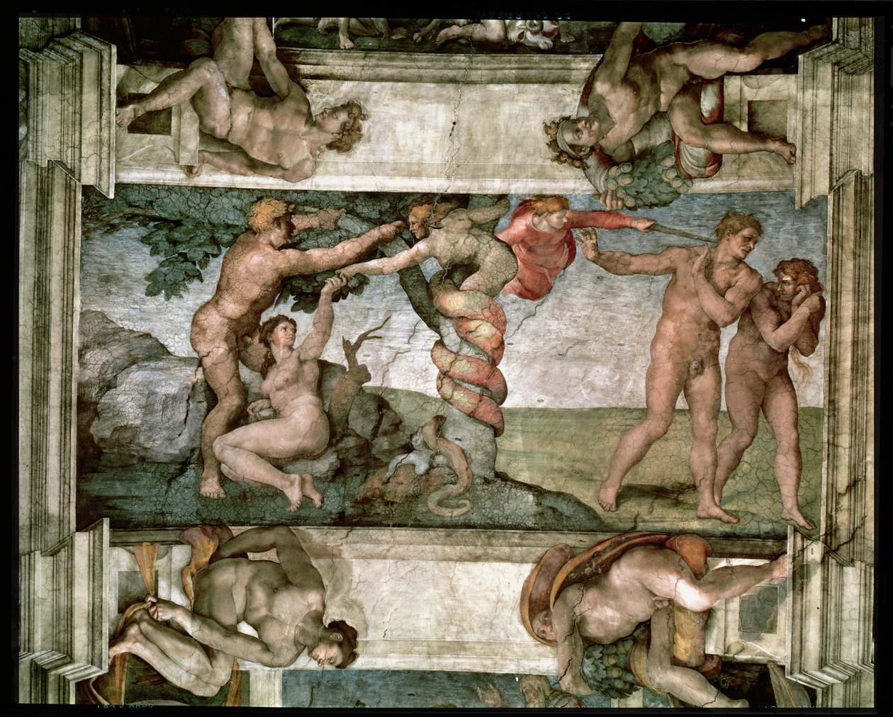 Sikstuksen kappelin katto: Ihmisen lankeemus ja karkottaminen Eedenin puutarhasta, neljä Ignudia, 1510 (ennallistaminen) tekijältä Michelangelo Buonarroti