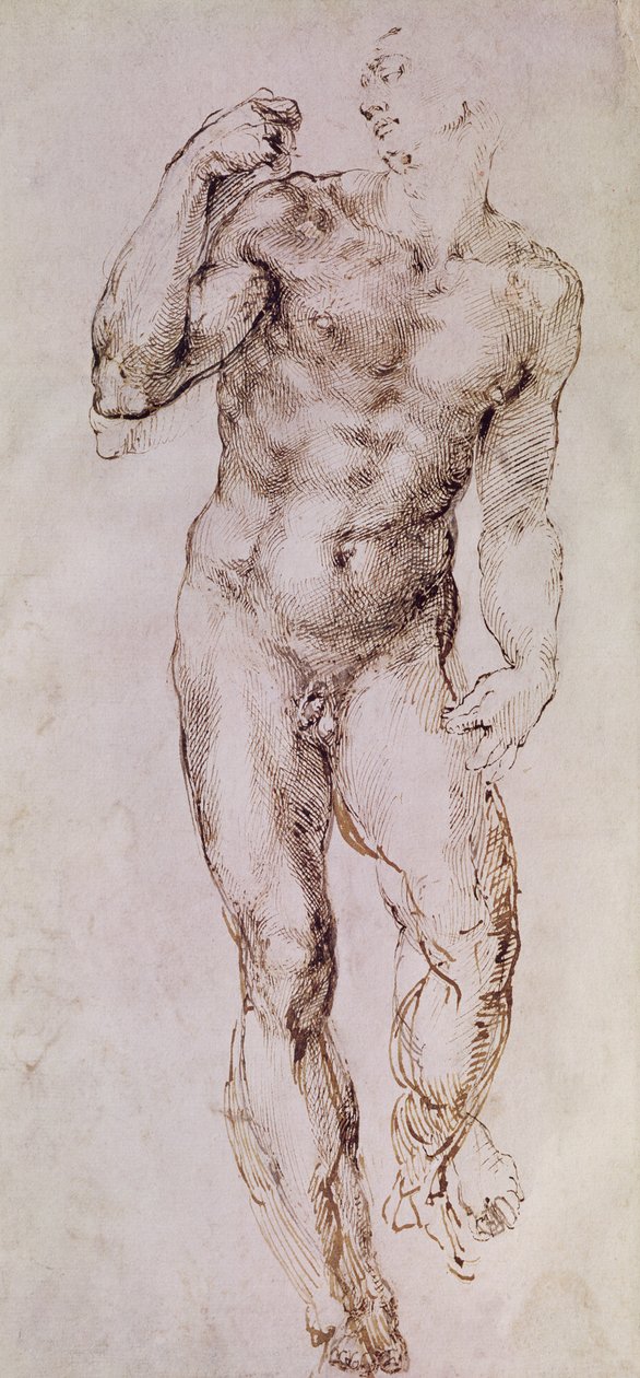 Luonnos Daavidista lingon kanssa, 1503-4 tekijältä Michelangelo Buonarroti