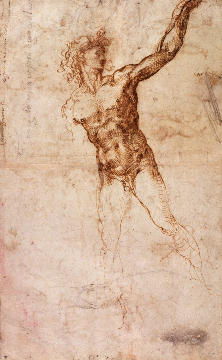 Luonnos alaston miehestä (W. 4 recto) tekijältä Michelangelo Buonarroti