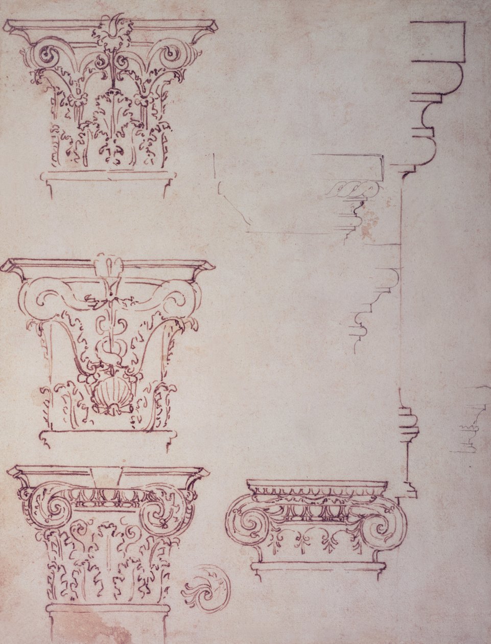 Studies for a Capital (ruskea muste) tekijältä Michelangelo Buonarroti