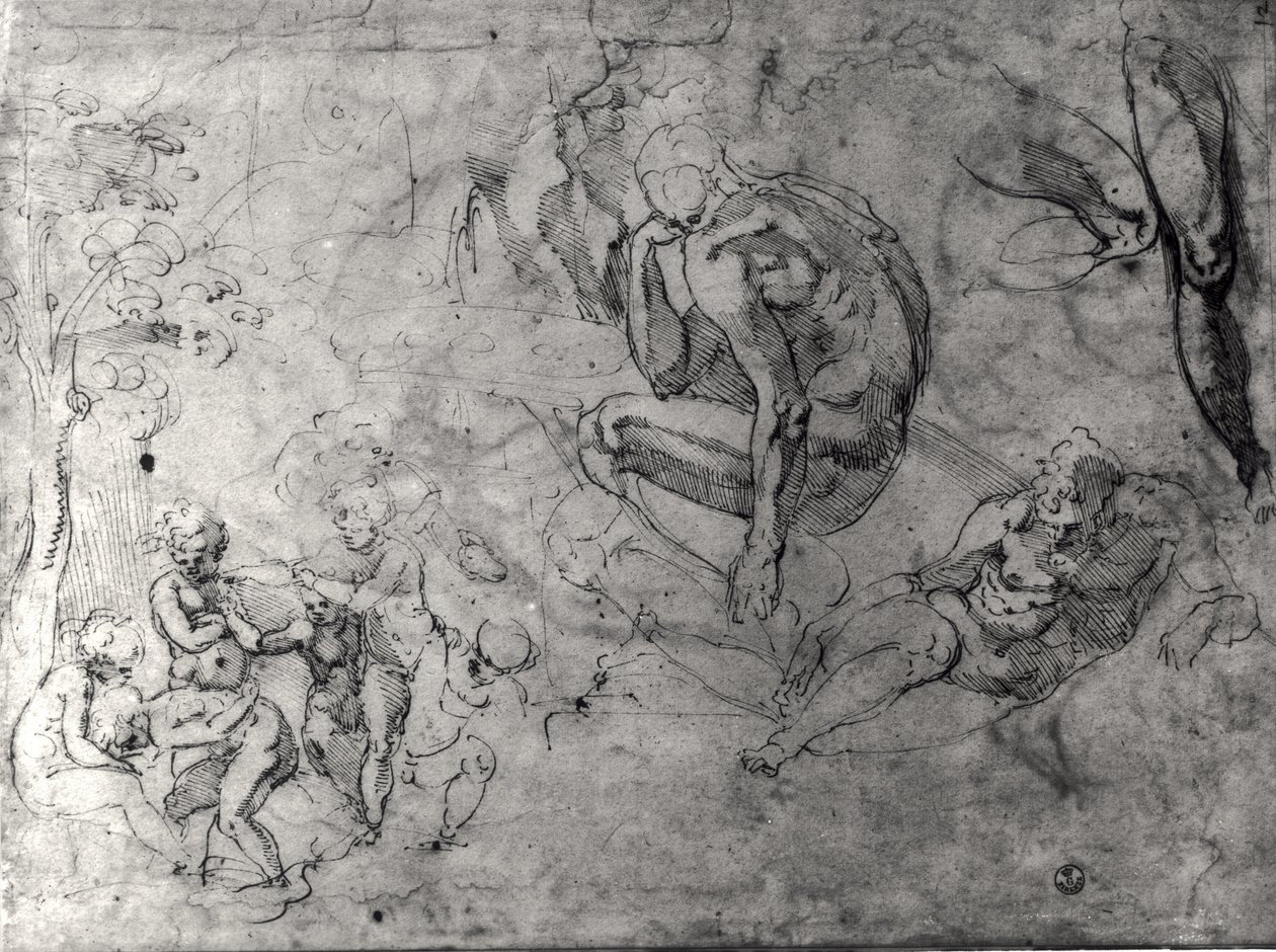 Tutkimuksia lukuja varten tekijältä Michelangelo Buonarroti