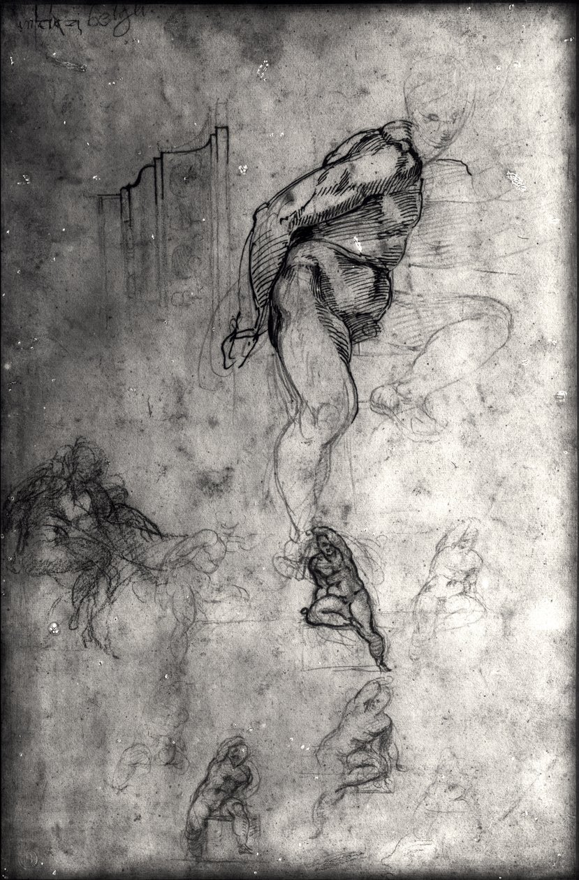 Tutkimuksia Sikstuksen katolle (kynä & muste ja kynä paperille) tekijältä Michelangelo Buonarroti