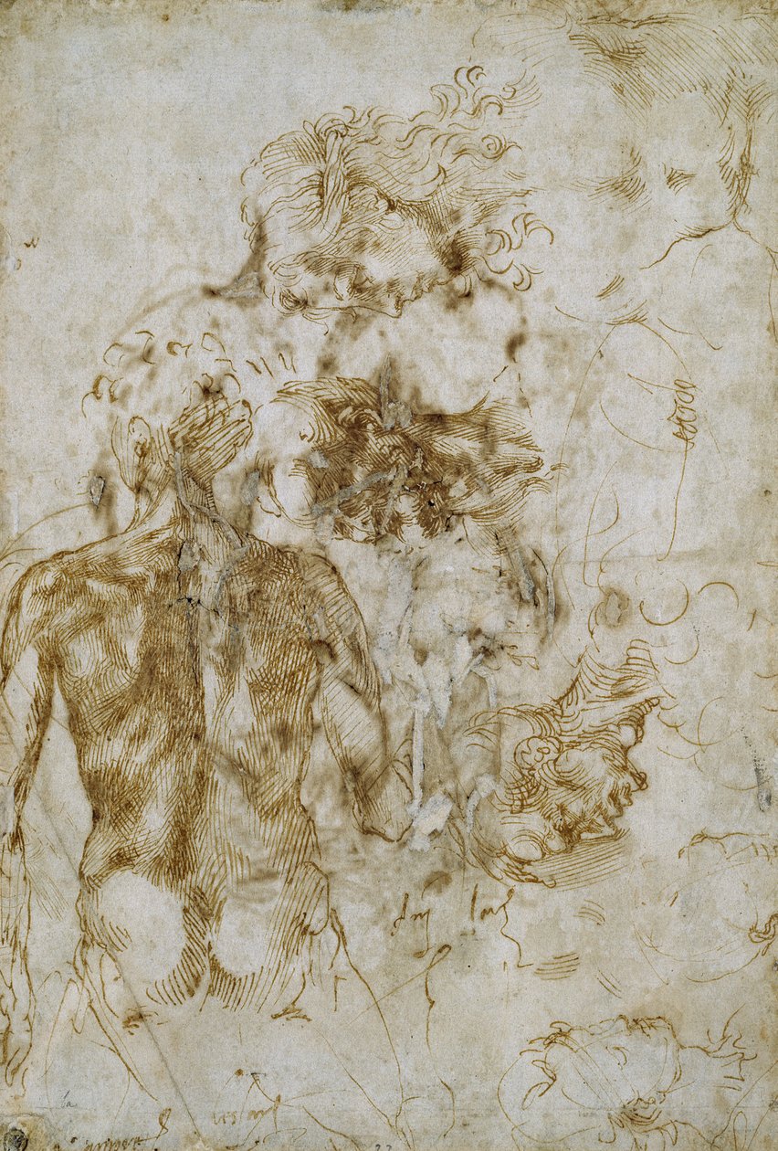 Miesten alastontutkimukset tekijältä Michelangelo Buonarroti