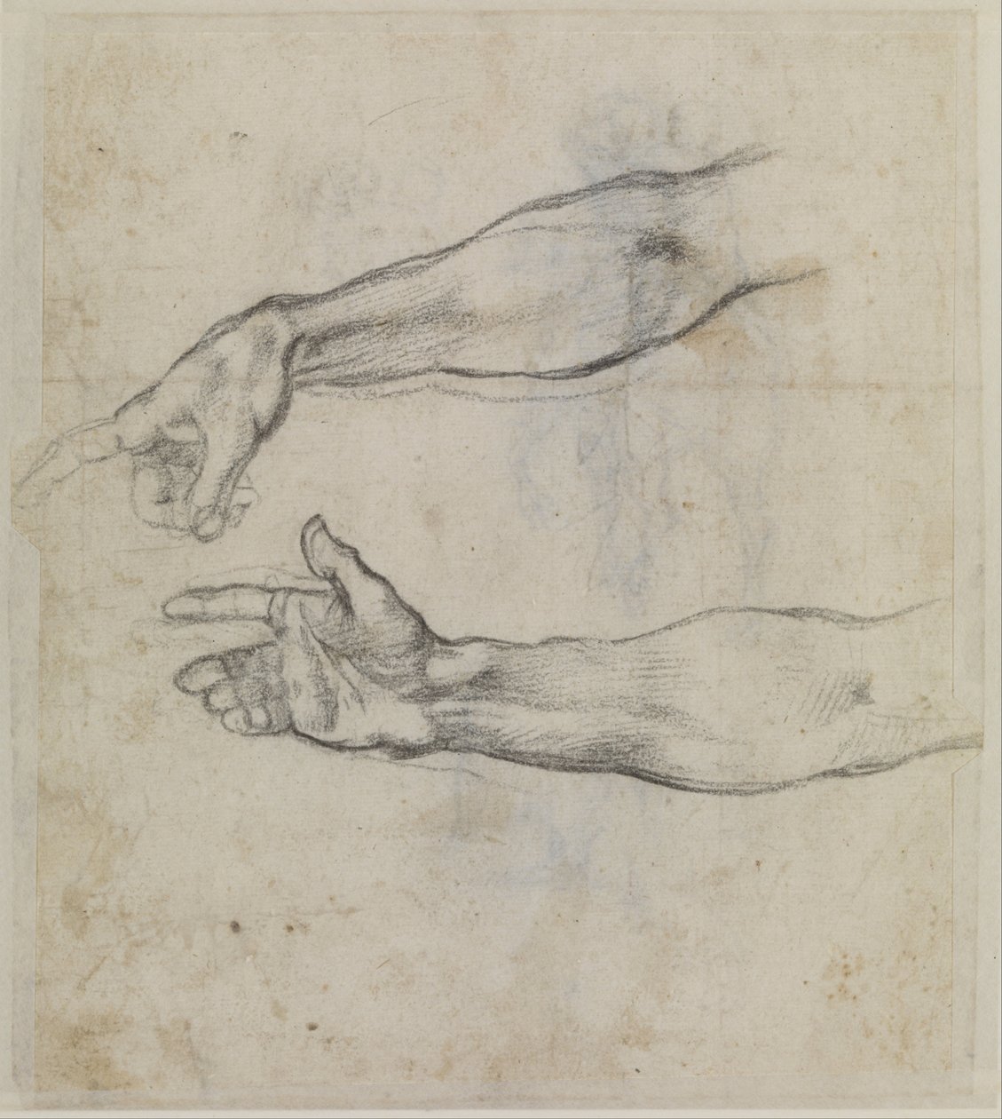Tutkimukset ojennetusta käsivarresta Sikstuksen kappelin freskoa The Drunkenness of Noah varten tekijältä Michelangelo Buonarroti