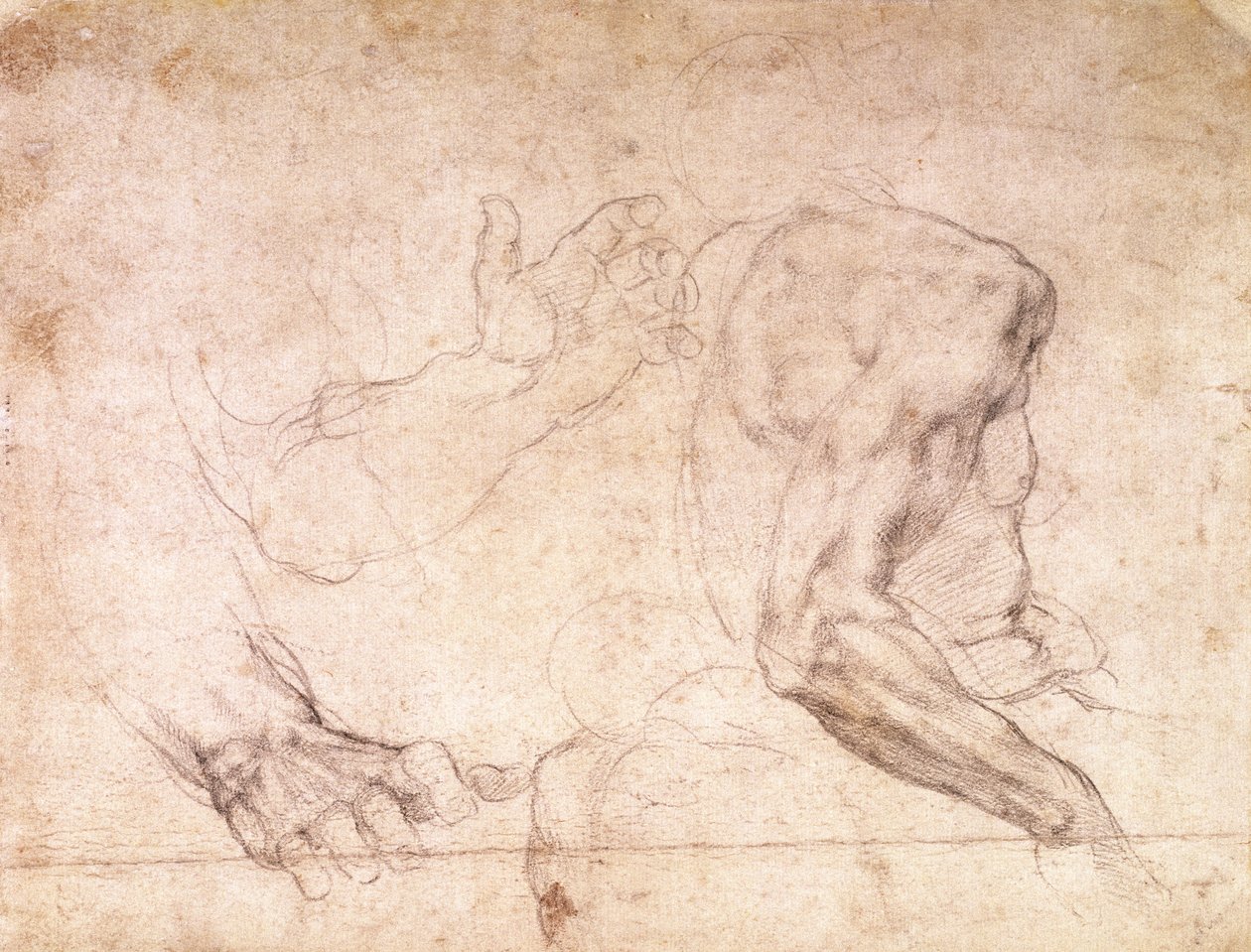 Käsien ja käsivarren tutkimukset (musta liitu paperille) (käänteinen) tekijältä Michelangelo Buonarroti