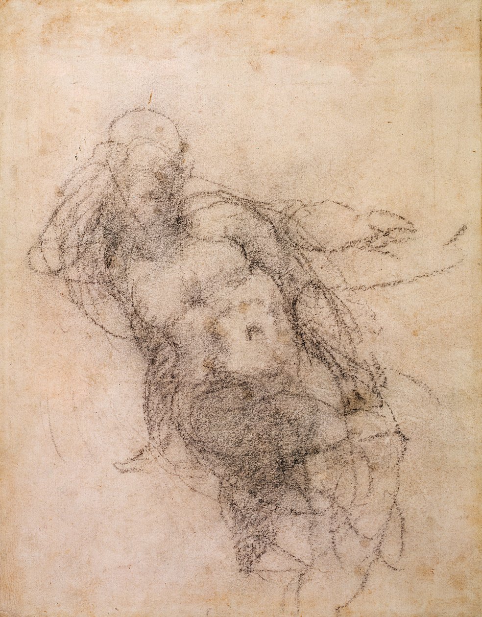 Tutkimus Nooalle teoksessa The Drunkenness of Noah, 1508-12 (hiili paperille) (recto) tekijältä Michelangelo Buonarroti