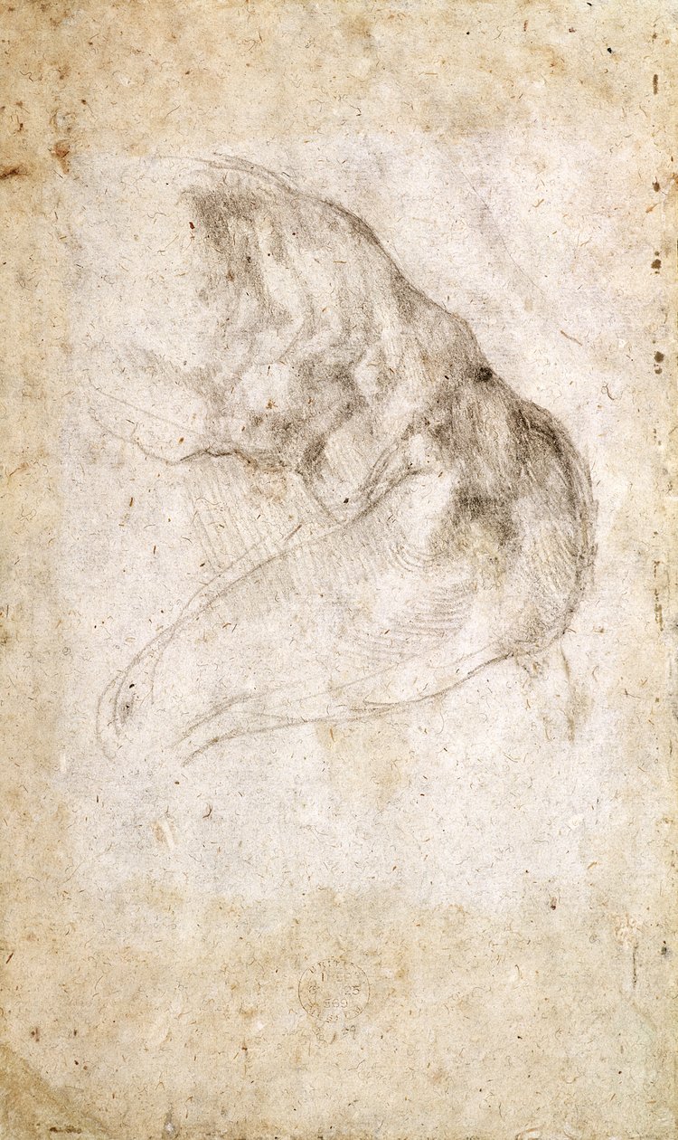 Tutkimus Adamin luomisesta (musta liitu paperille) (käänteinen) (katso suoraan 191766) tekijältä Michelangelo Buonarroti