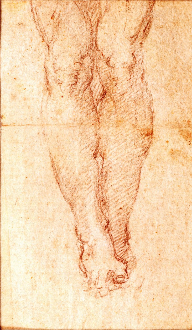 Tutkimus ristiinnaulitsemisesta (musta liitu paperille) tekijältä Michelangelo Buonarroti