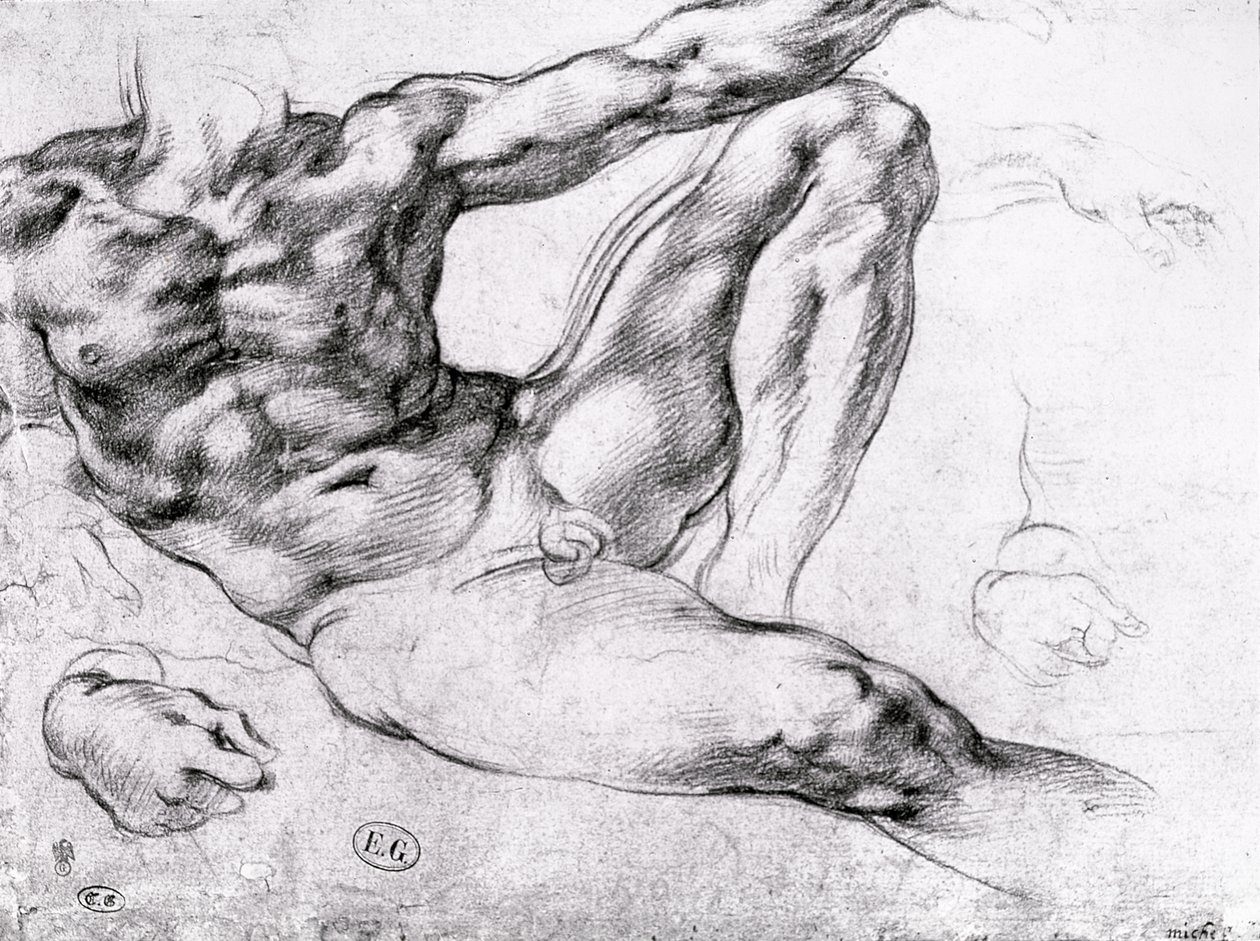 Tutkimus Adamin luomisesta tekijältä Michelangelo Buonarroti