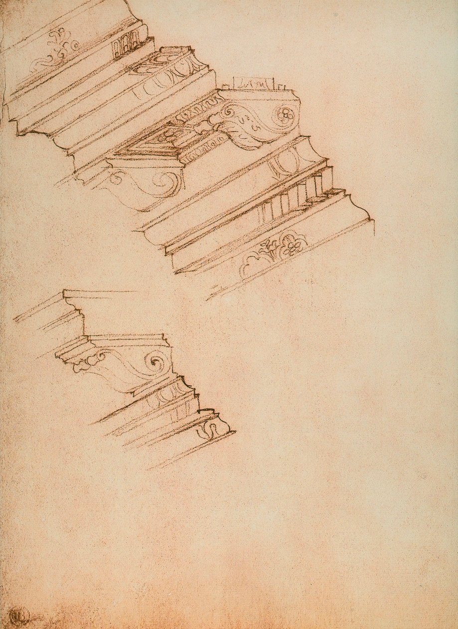 Tutkimus kahdelle reunalistalle; piirustus Michelangelo. Casa Buonarroti, Firenze tekijältä Michelangelo Buonarroti